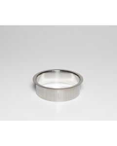 Stainless Steel Trash Ring, Heavy Duty, 6" x 2"