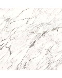 Calcutta Marble - Lifestyle Collection