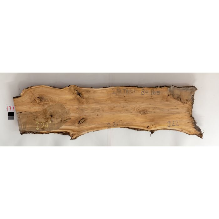 Elm kiln-dried wood slab — Live Edge Hardwoods
